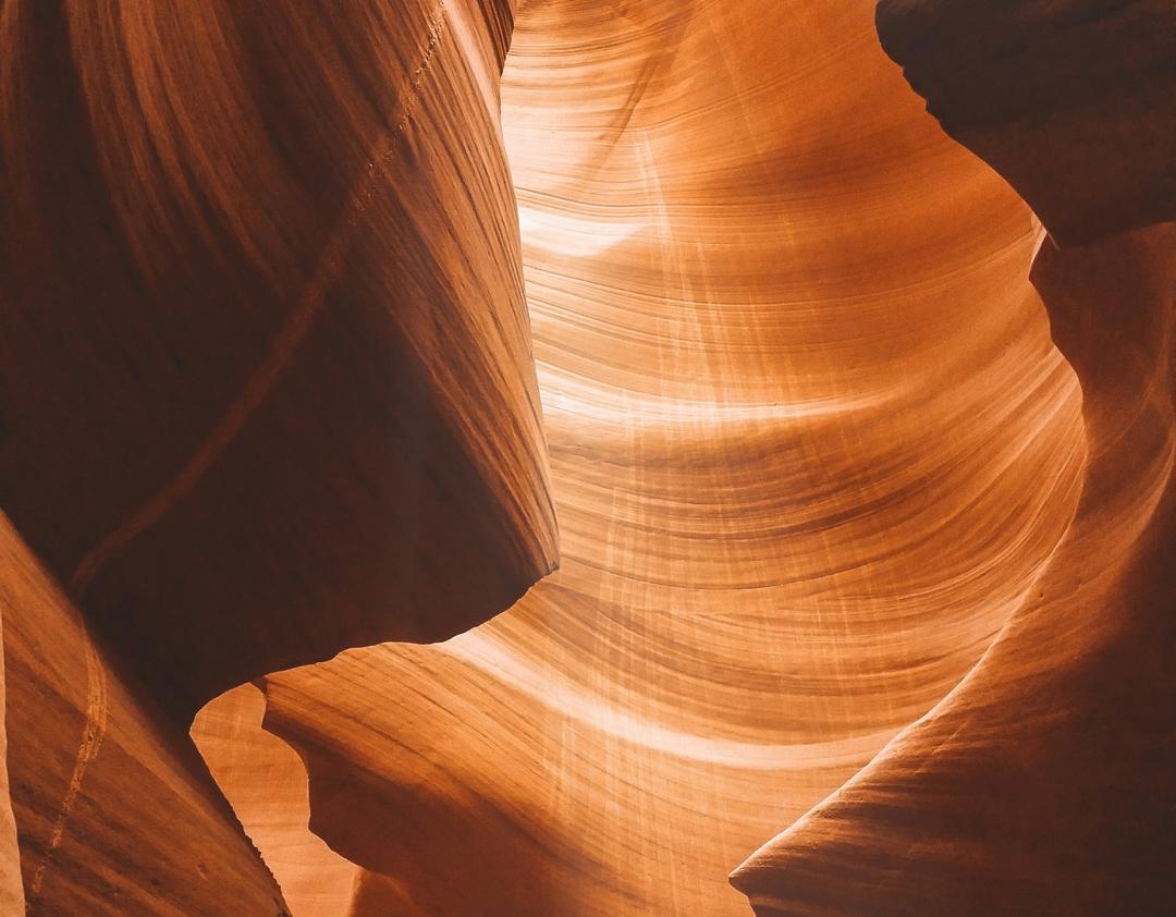 Earthy Elegance card